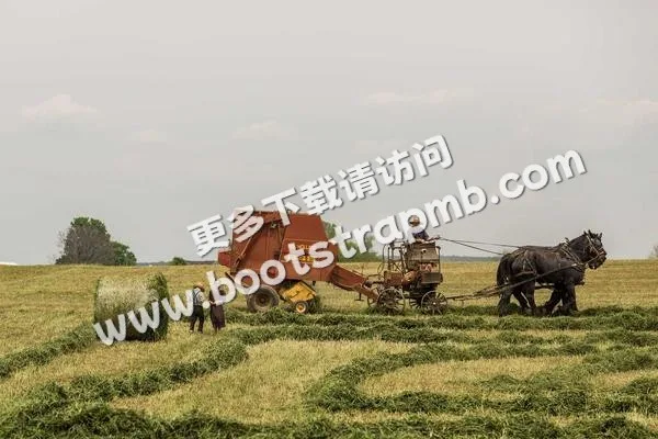 ⊞ Portfolio - PG娱乐anxingda